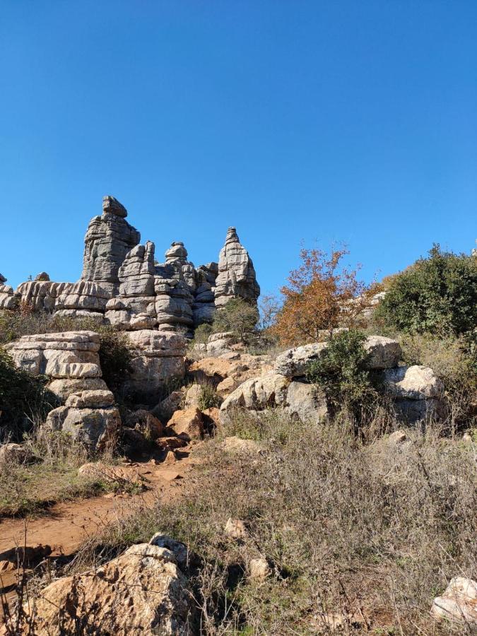 埃尔乔罗Montana Retreat住宿加早餐旅馆 外观 照片
